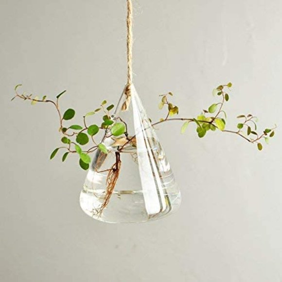 Anthropologie 3 Pcs Glass Plant Pots Planters Hang - Picture 4 of 8